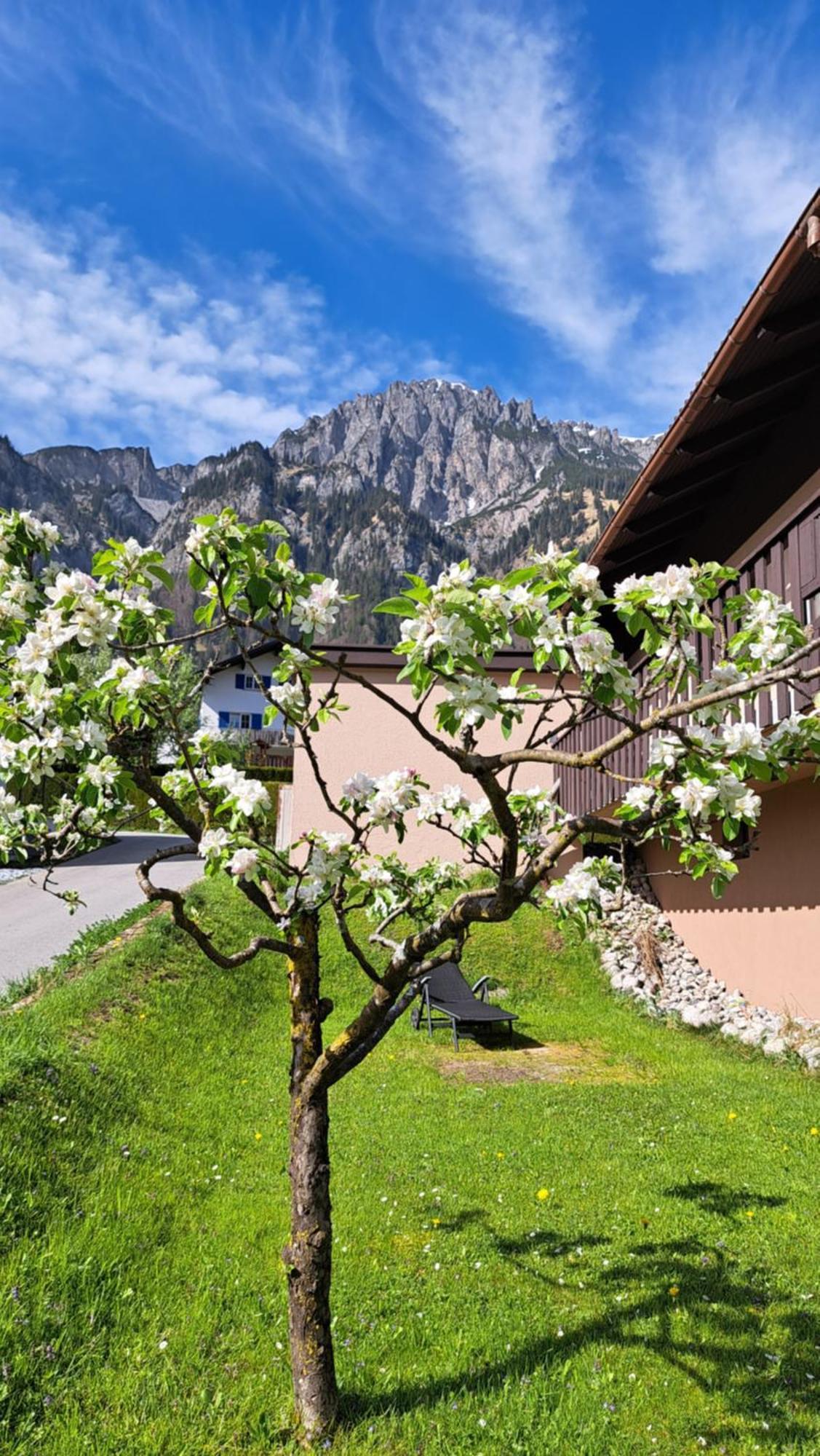 Baers Mountain Stay Ausserbraz Innerbraz 외부 사진