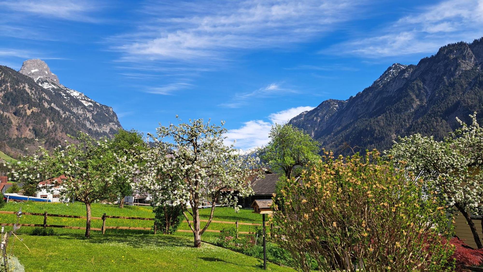 Baers Mountain Stay Ausserbraz Innerbraz 외부 사진