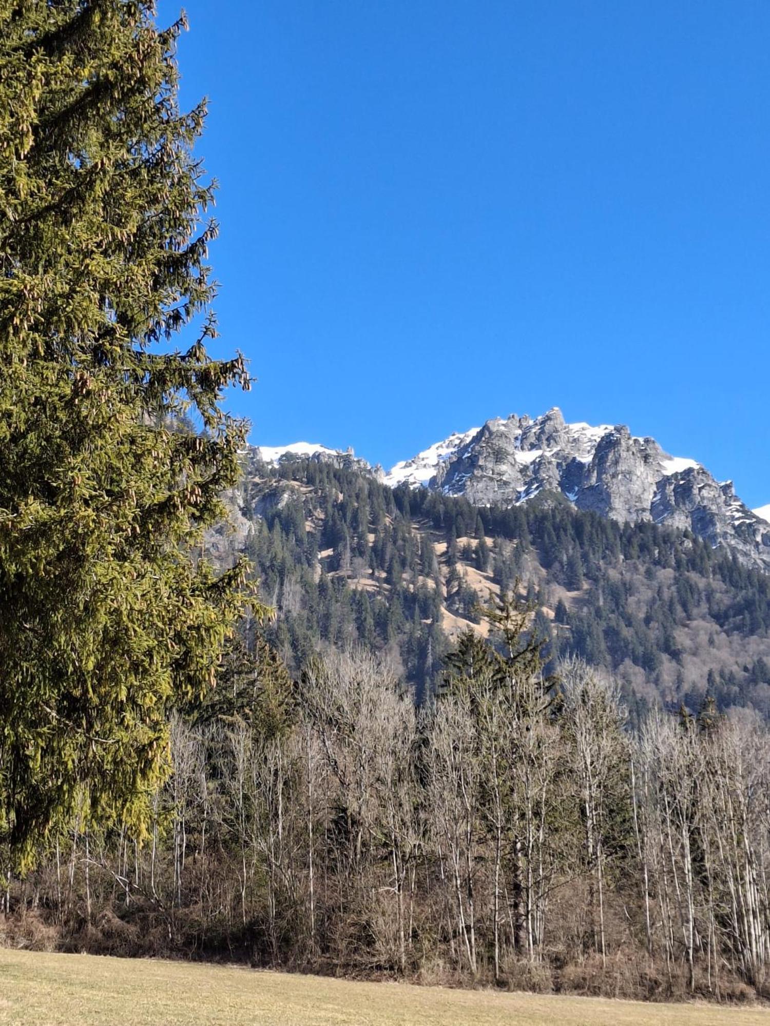 Baers Mountain Stay Ausserbraz Innerbraz 외부 사진